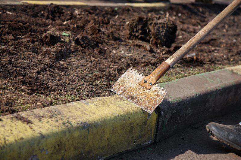 Sidewalk Paint Removal